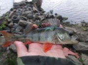 DSCF6017.JPG