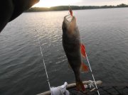 DSCF6018.JPG