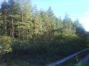 DSC01897.JPG