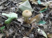 DSCF6038.JPG