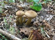 DSCF6051.JPG