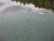 IMG_8889.JPG