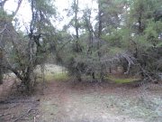 DSC00660.JPG