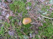 DSC00670.JPG