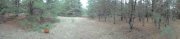 DSC00681.JPG