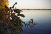 IMG_0704_resize.jpg