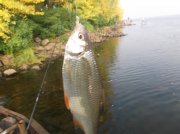 DSCF6076.JPG