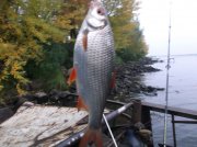 DSCF6079.JPG