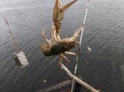 DSCF6082.JPG