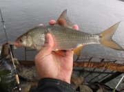 DSCF6081.JPG