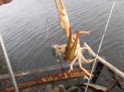 DSCF6084.JPG