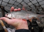 DSCF6073.JPG