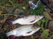 DSC01713.JPG