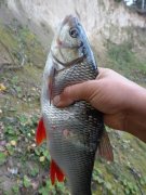 DSC01709.JPG
