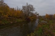 IMG_2026.jpg
