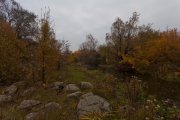 IMG_2038.jpg
