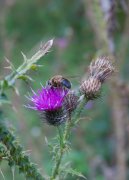 IMG_2021.jpg