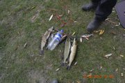 _DSC0078.JPG
