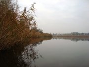 DSC09547.JPG