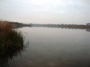 DSC09555.JPG