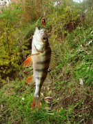 DSC09564.JPG