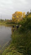 IMAG0022.jpg
