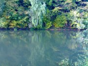 140920133352.jpg