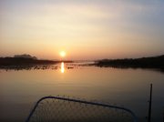 IMG_0337.JPG