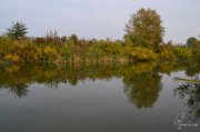 DSC_1439.JPG