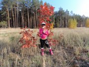 DSC00773.JPG