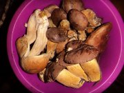 DSC00782.JPG