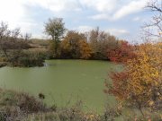 DSC00715.JPG