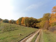 DSC00697.JPG