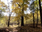 DSC00705.JPG