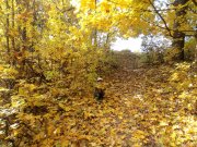 DSC00709.JPG