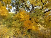 DSC00716.JPG