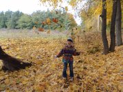 DSC00721.JPG