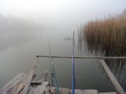 DSC00754.JPG