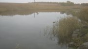 IMG_1808.jpg