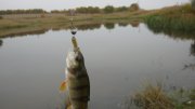 IMG_1812.jpg