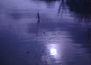 171020134739-1.jpg