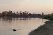 IMG_2539.jpg