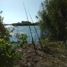 Морвис