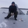 живец