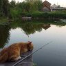 Герасим64