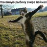 Зоря