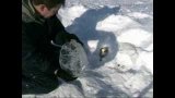 Огонь льдом от солнца