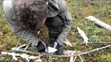Добывание огня в сыром лесу