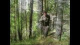 Гамак трансформер