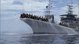 Конвверная рыбалка